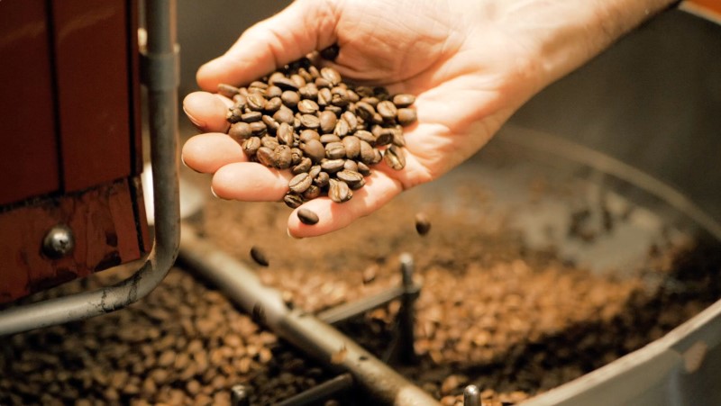 Xác định và tìm hiểu nguyên nhân các lỗi khi rang cà phê