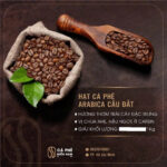 CÀ PHÊ HẠT ARABICA CẦU ĐẤT NGUYÊN CHẤT