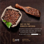 CÀ PHÊ HẠT ROBUSTA RANG MỘC NGUYÊN CHẤT